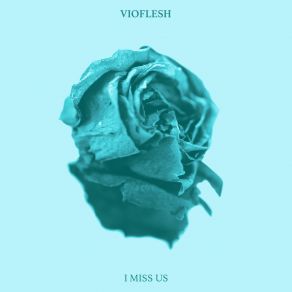 Download track I Miss Us Vioflesh