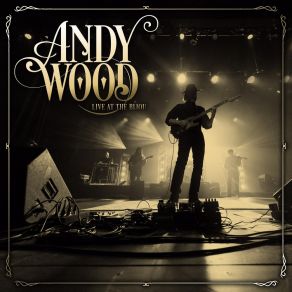 Download track Midnight Train To Georgia (Live) Andy Wood