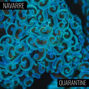 Download track The Virus Gustavo NavarreEduardo Navarre