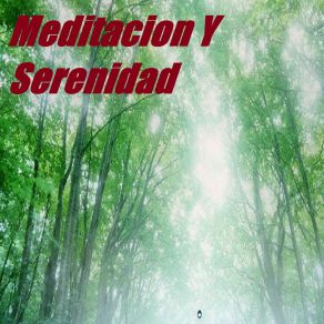 Download track Relajación Guiada Para Dormir Serenidad