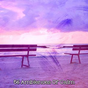 Download track Desire For Calm Namaste Yoga