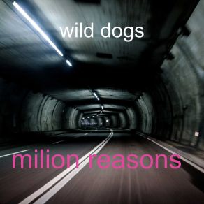 Download track Crazy Dad The Wild Dogs