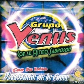 Download track Ingrato Amor Grupo Venus