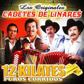 Download track Sucedio En El Aguaje (Lupe Tijerina Y Rosendo Cantu) Cadetes De Linares