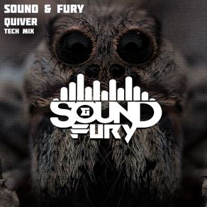 Download track Quiver (Tech Mix) Sound And Fury