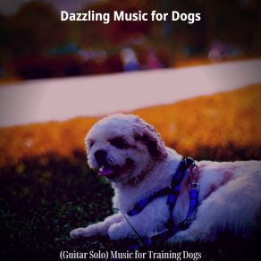 Download track Background For Training Dogs Dazzling Music For Dogs