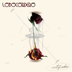 Download track Duele (Los Cobardes Aún Duermen) Lobocordero