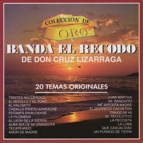 Download track Alma Mia De Mi Grandota Banda El Recodo De Don Cruz Lizárraga