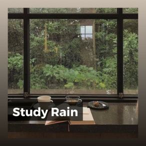 Download track Mellow Rain Clear Mind Raining