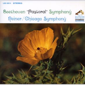 Download track Symphony No. 6- I. Allegro Ma Non Troppo Fritz Reiner