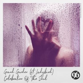 Download track Celebration Of The Soul LadybirdLady & Bird