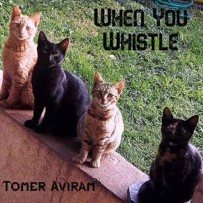 Download track Turn My Life To Gray Tomer Aviram