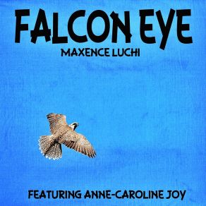 Download track Falcon Eye (Karaoke Instrumental Falcon Eye) Anne-Caroline Joy