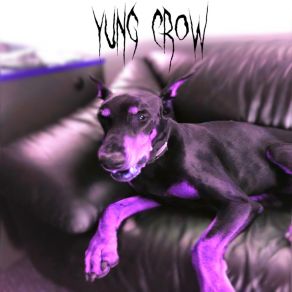 Download track Dissect Yung Crow