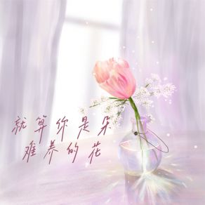 Download track 就算你是朵难养的花 (伴奏) 欧小尼