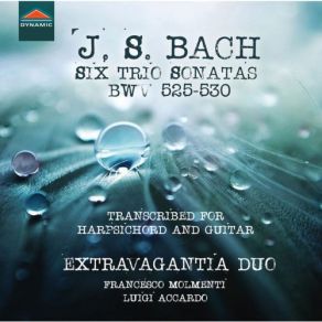 Download track Organ Sonata No. 5 In C Major, BWV 529 (Arr. For Guitar & Harpsichord): II. Largo Harpsichord, Luigi Accardo, Extravagantia Duo