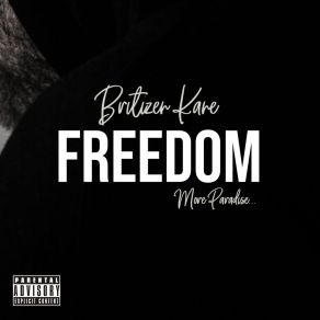 Download track Freedom Britizen KaneJoe Turone