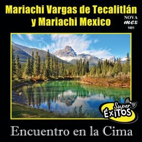 Download track Sobre Las Olas (Instrumental) Mariachi MéxicoΟΡΓΑΝΙΚΟ