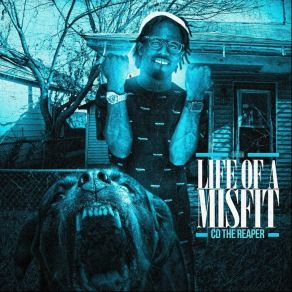 Download track Think I'm Lost CD THE REAPER