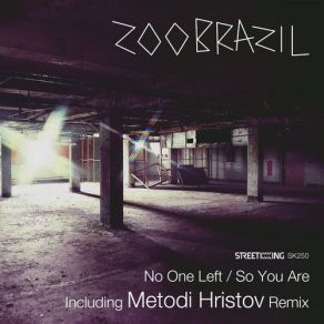 Download track No One Left (Metodi Hristov Remix) Zoo Brazil