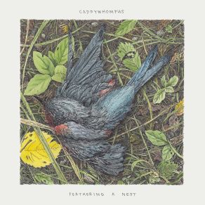 Download track Feathering A Nest Caddywhompus