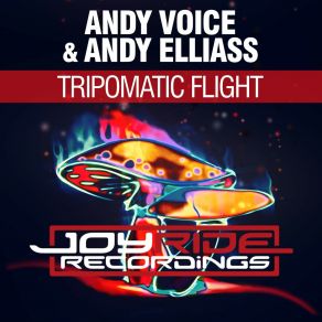 Download track Tripomatic Flight (Radio Mix) Andy Voice