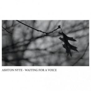 Download track I Asked For Nothing Ashton Nyte