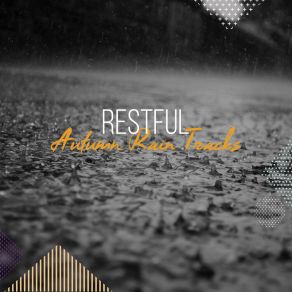 Download track Rainy Weather Rain Sounds ACE