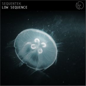 Download track Low Sequence Sequentek