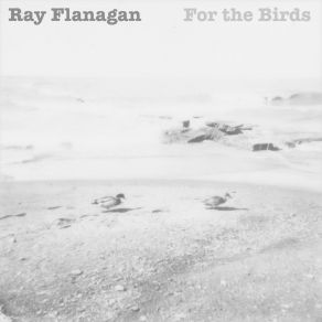 Download track For The Birds Ray Flanagan