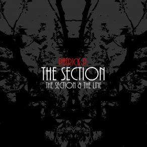 Download track The Section Patrick P