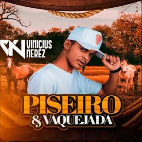 Download track Metade De Um Abraço Vinicius Nerez