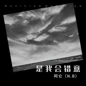 Download track 是我会错意 (DJ德朋版伴奏) 阿仑（N. B）