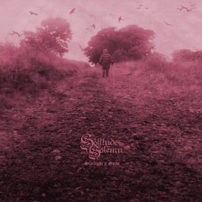 Download track Illuminance Of Solitude And Solemn