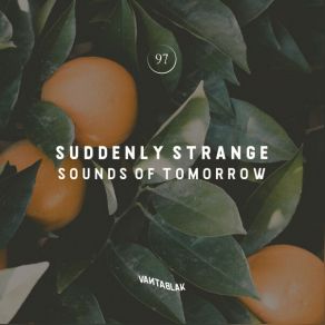 Download track The Professor's Robot (Original Mix) Suddenly Strange