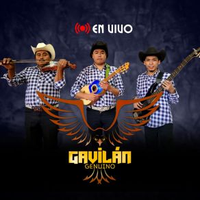 Download track El Queretano (Live) Gavilán Genuino