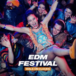 Download track EDM Festival Groove Teacher