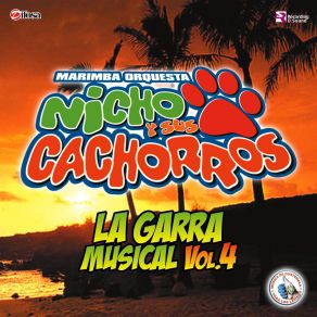 Download track Mix Ranchicumbias 4: No Pude Enamorarme Más / Golpes En El Corazón / Por El Amor De Una Mujer / José Pérez León Marimba Orquesta Nicho