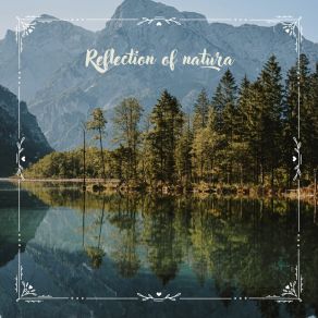 Download track Reflection Of Natura N° 4 SagraDeser