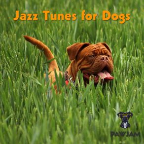 Download track Canine Chill Out PawJam