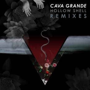 Download track The Pond (Spacehole Remix) Cava GrandeSpacehole