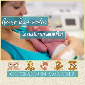 Download track Het Vreedzame Pad Naar Moederschap Relaxation Music For Pregnant Women