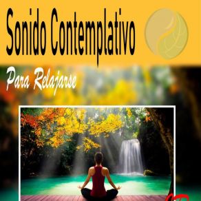 Download track Música Relajante Para Tus Oídos Meditacion Word