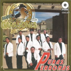 Download track El Primer Tonto Banda Los Garanones