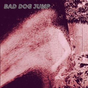 Download track Hatchback Bad Dog Jump