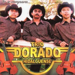 Download track El Huasteco Enamorado Trio Dorado Hidalguense