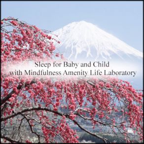 Download track Pluto Joy (Original Mix) Mindfulness Amenity Life Laboratory