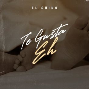 Download track Novela Musical El Shino