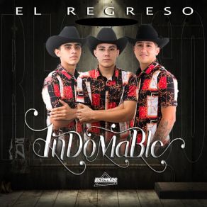 Download track El Pez Se Los Comio Grupo Indomable