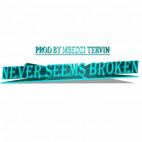 Download track Never Seems Broken Mbedzi Tervin